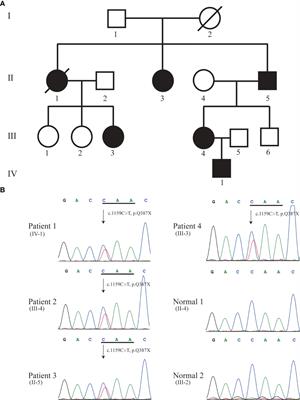 Case Report: A novel heterozygous nonsense mutation in KRIT1 cause hereditary cerebral cavernous malformation